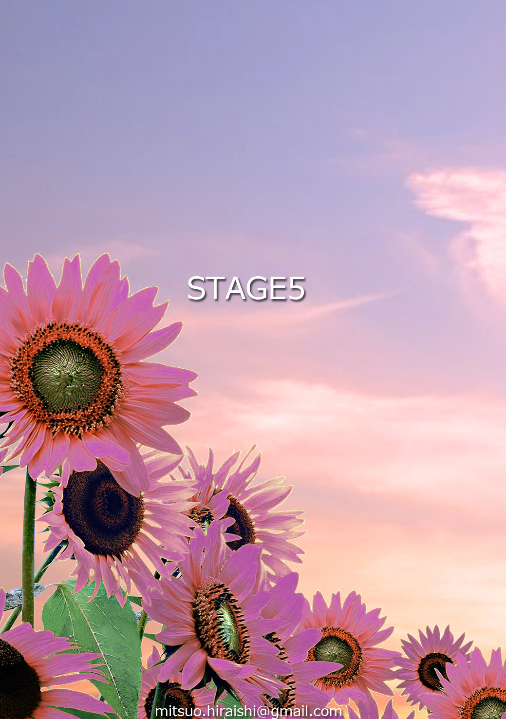 がんサバイバーになるためのブックレット